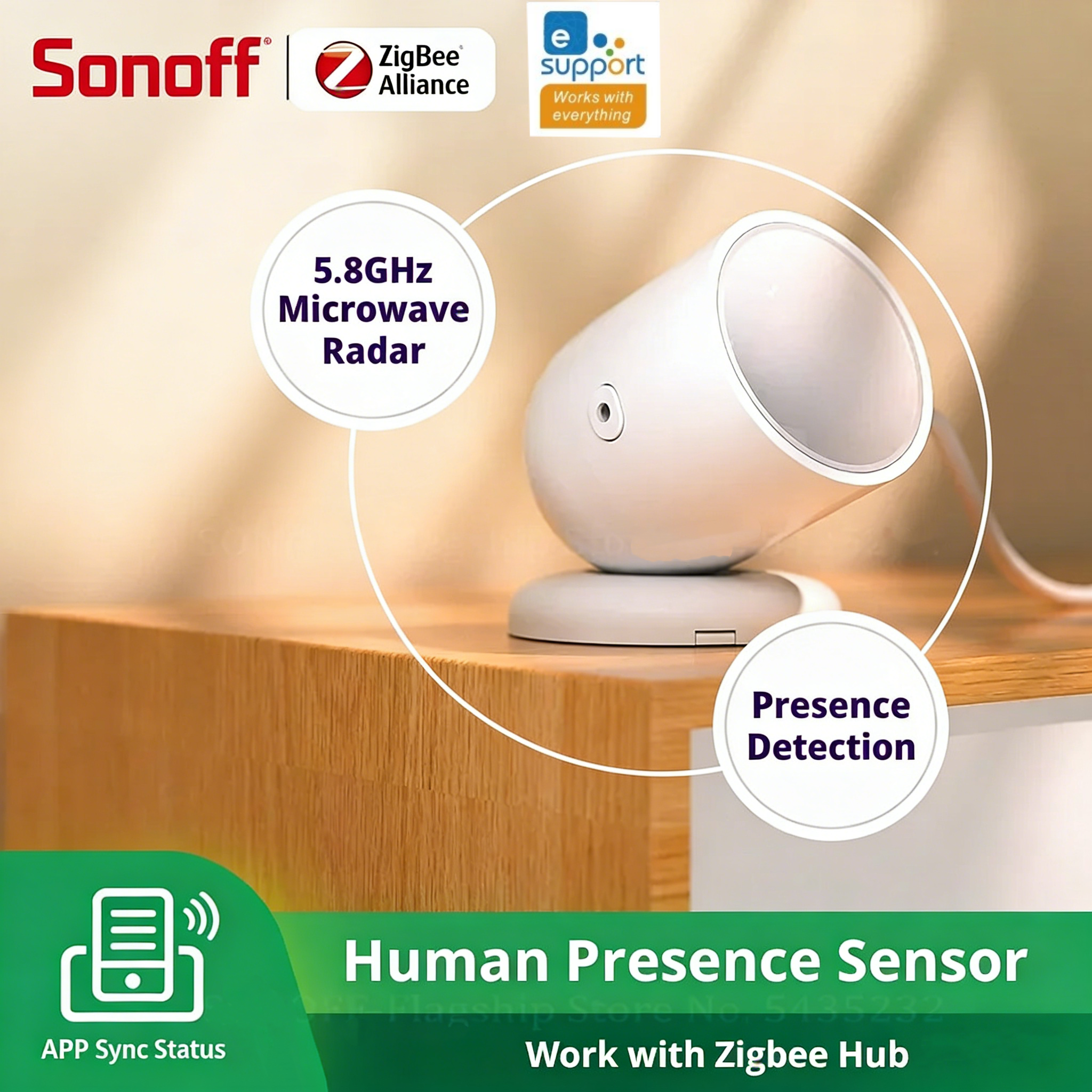 Sonoff Basic Switch - SONOFF SNZB-06P Sonoff Human Presence Sensor