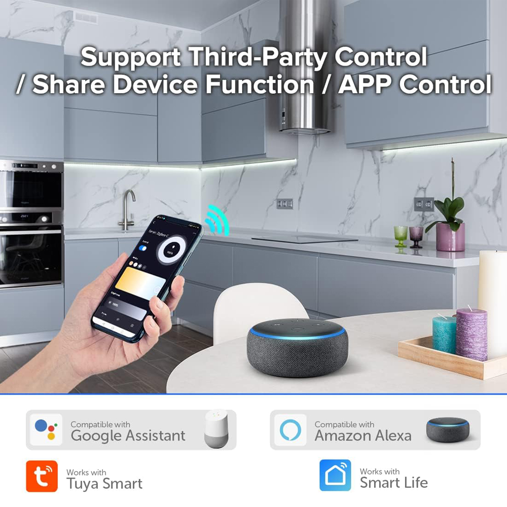 TUYA Zigbee Constant Current C - Zigbee Coordinator Stick ulasan dan harga